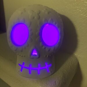 Halloween Spooky Ceramic Skull Light up Multiple colors calavera skull Decor New